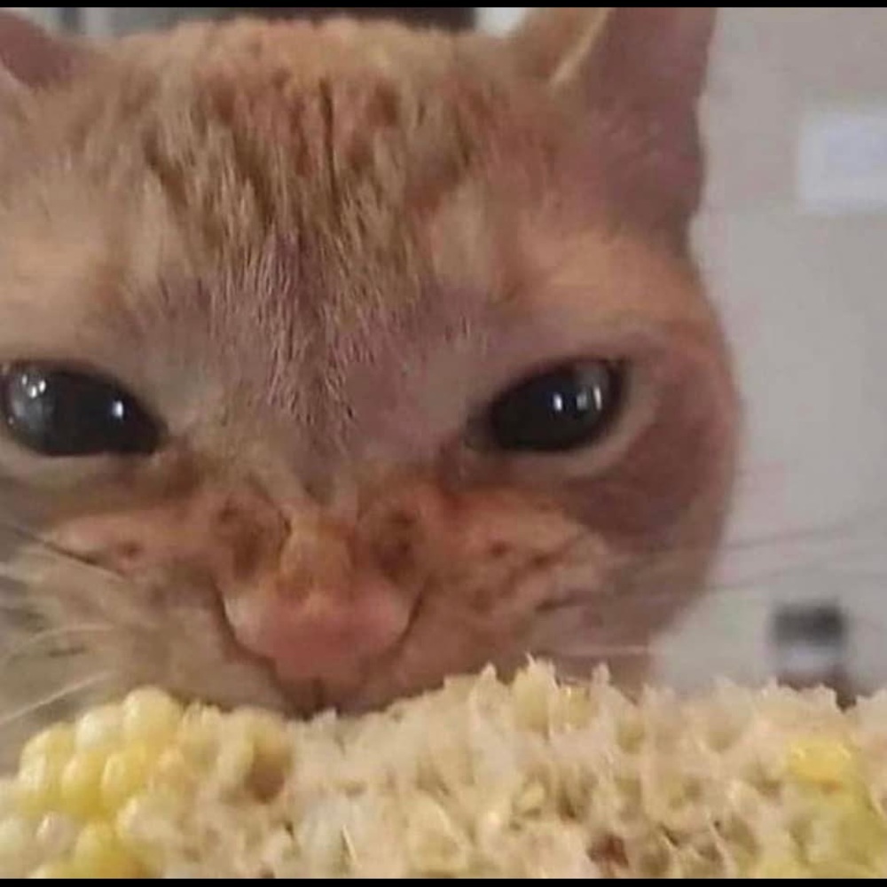 Meet your Posher, Nom Nom